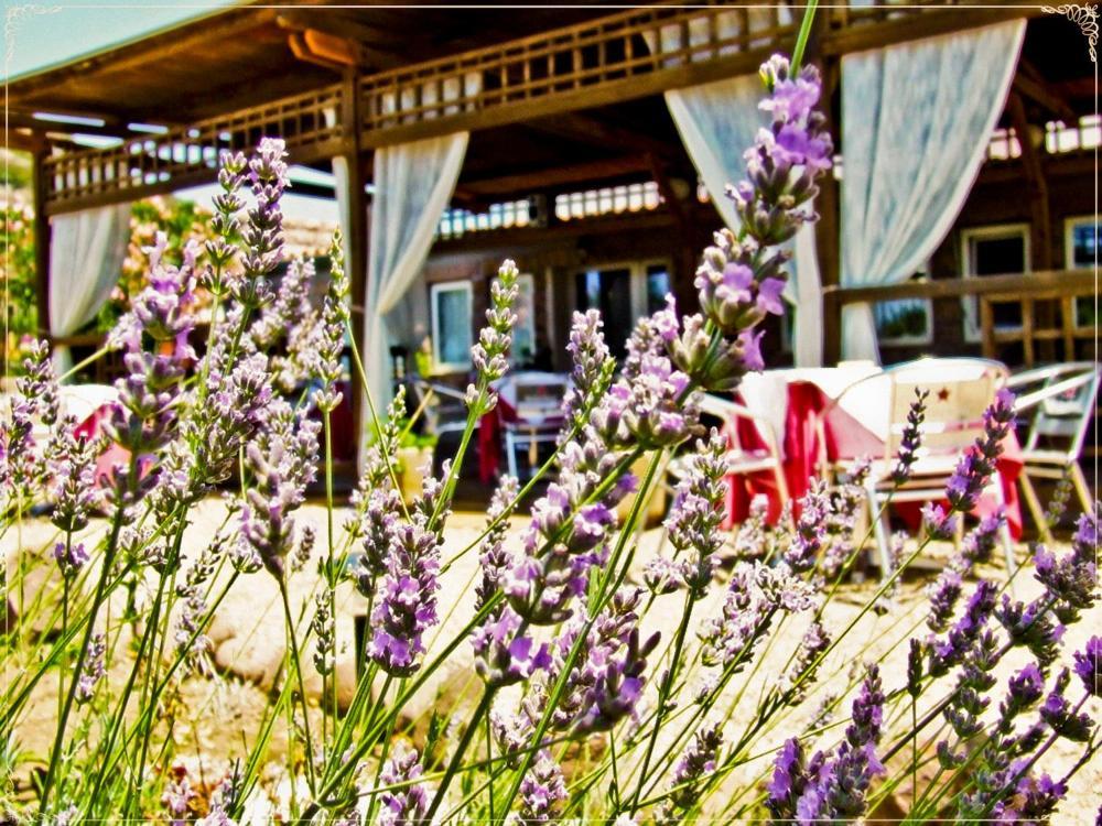 Hotel Miramare Bosa Marina Zewnętrze zdjęcie